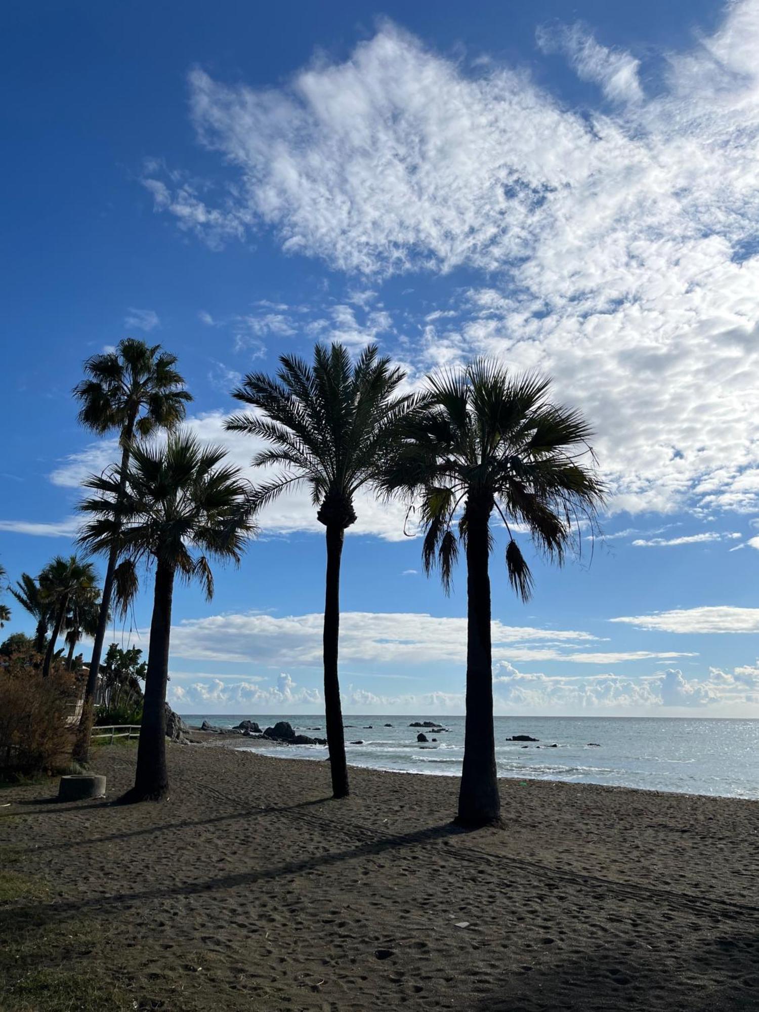 Premium Luxury-Casares Del Mar-Seaside Apartment Bahia de Casares Екстериор снимка
